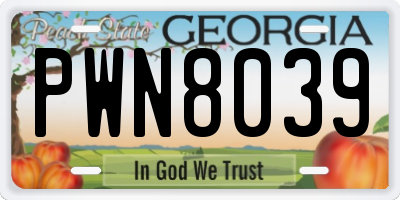 GA license plate PWN8039