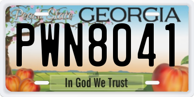 GA license plate PWN8041