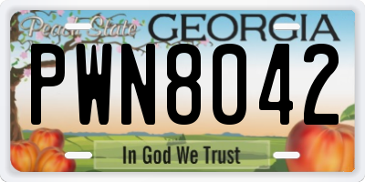 GA license plate PWN8042