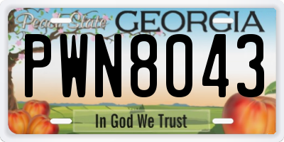 GA license plate PWN8043