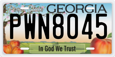 GA license plate PWN8045