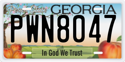 GA license plate PWN8047