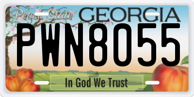 GA license plate PWN8055