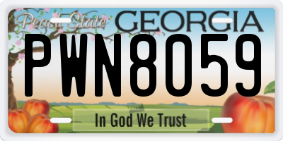 GA license plate PWN8059