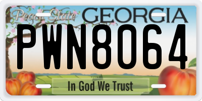 GA license plate PWN8064