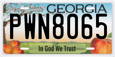 GA license plate PWN8065