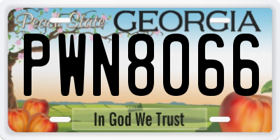 GA license plate PWN8066