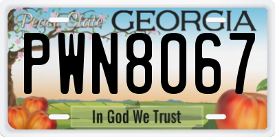 GA license plate PWN8067