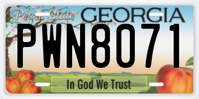 GA license plate PWN8071