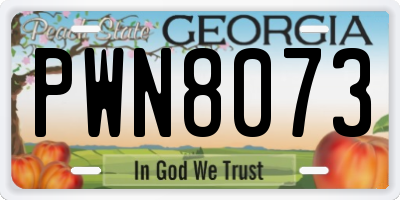 GA license plate PWN8073