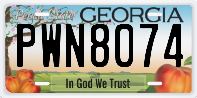 GA license plate PWN8074