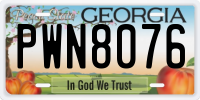 GA license plate PWN8076