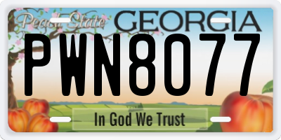 GA license plate PWN8077