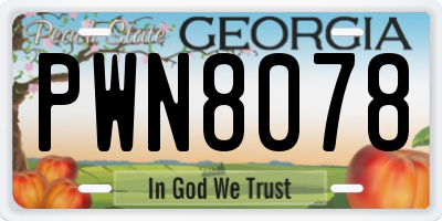 GA license plate PWN8078