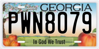 GA license plate PWN8079