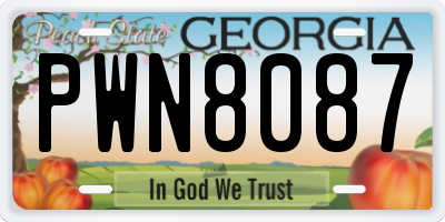 GA license plate PWN8087