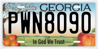 GA license plate PWN8090