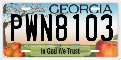 GA license plate PWN8103