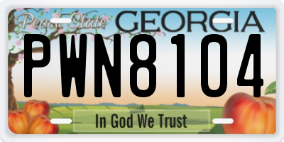 GA license plate PWN8104