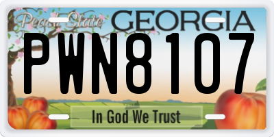GA license plate PWN8107