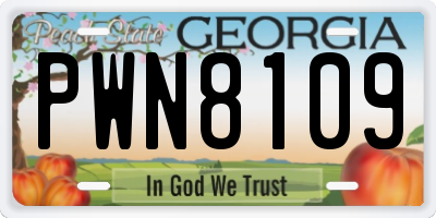 GA license plate PWN8109