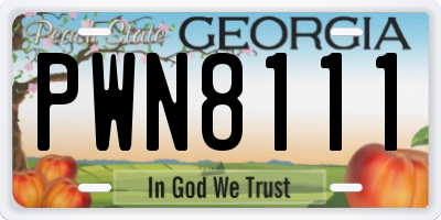 GA license plate PWN8111