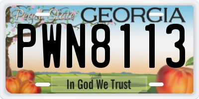 GA license plate PWN8113