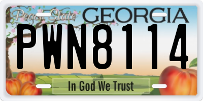 GA license plate PWN8114