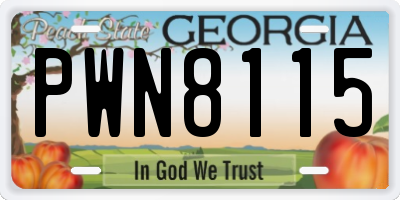 GA license plate PWN8115