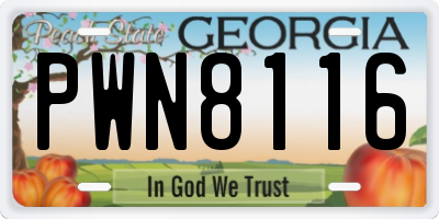 GA license plate PWN8116