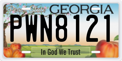 GA license plate PWN8121