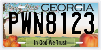 GA license plate PWN8123