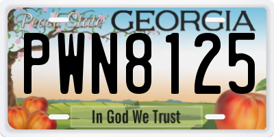 GA license plate PWN8125