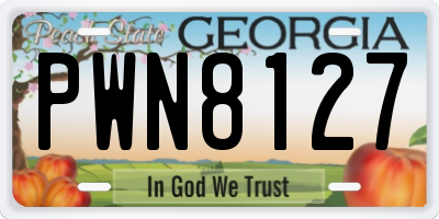 GA license plate PWN8127