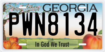 GA license plate PWN8134