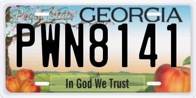 GA license plate PWN8141