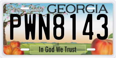 GA license plate PWN8143