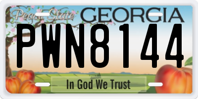 GA license plate PWN8144
