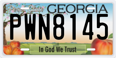 GA license plate PWN8145