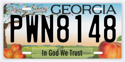 GA license plate PWN8148