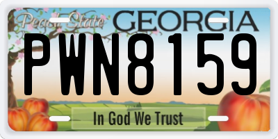 GA license plate PWN8159