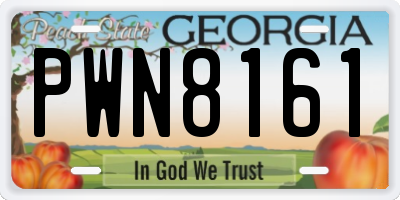 GA license plate PWN8161