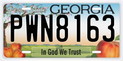 GA license plate PWN8163