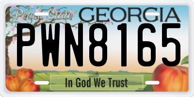 GA license plate PWN8165