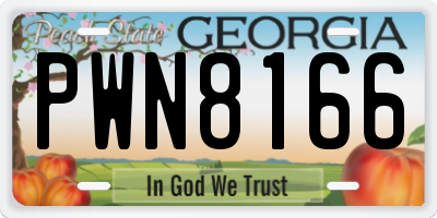 GA license plate PWN8166