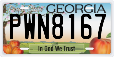 GA license plate PWN8167