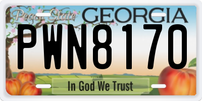 GA license plate PWN8170
