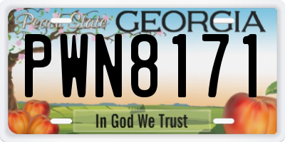 GA license plate PWN8171
