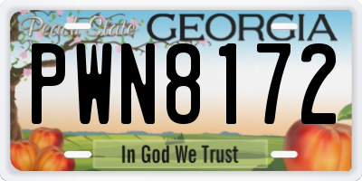 GA license plate PWN8172