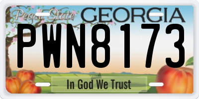 GA license plate PWN8173